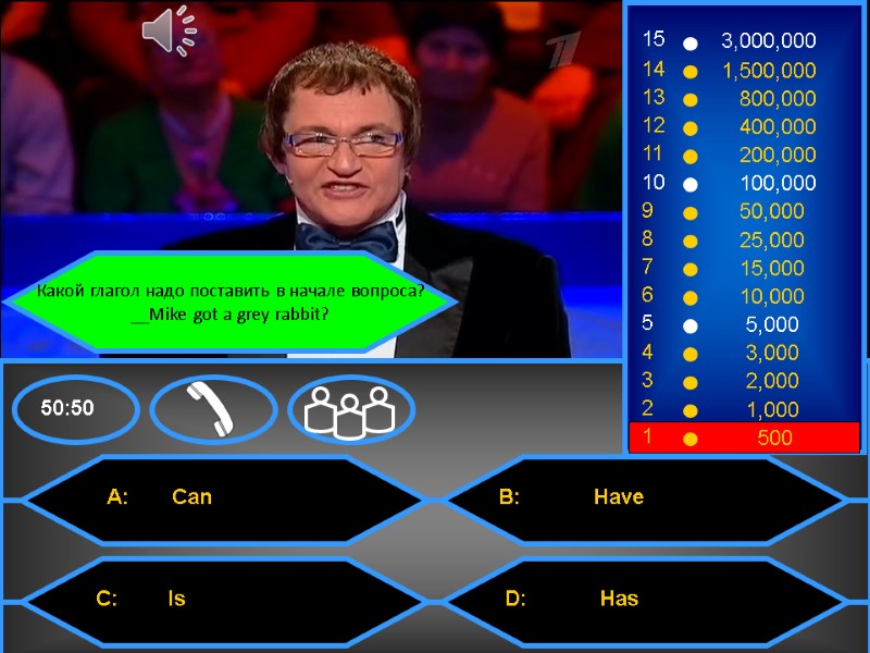 Какой глагол надо поставить в начале вопроса? __Mike got a grey rabbit?